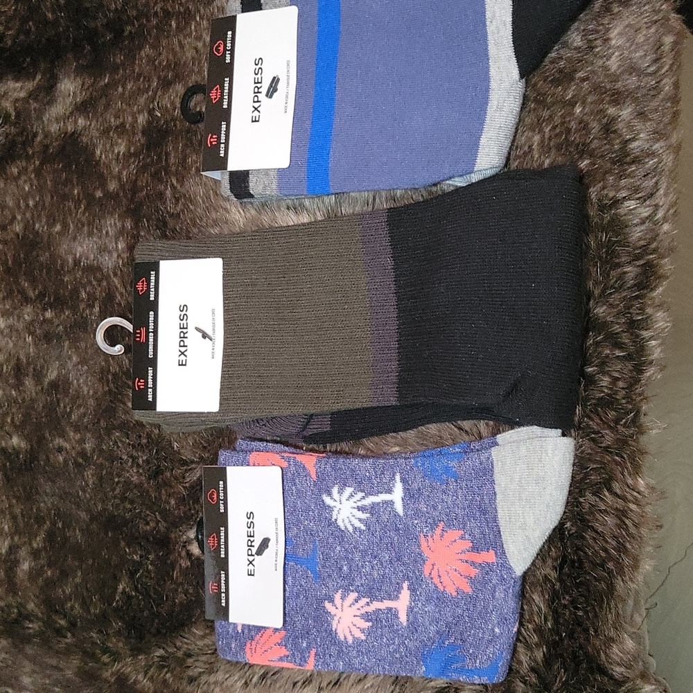men's Express brand socks